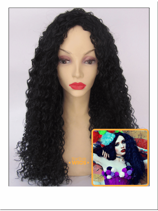 Long Black Curly Afro Wig