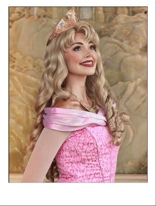 Sleeping Beauty Wig